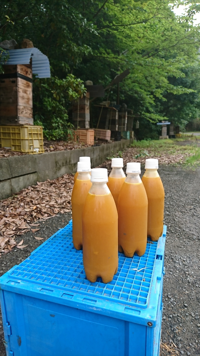 和歌山県熊野古道日本蜜蜂蜂蜜 誘引液 キンリョウヘン ルアー等の複合