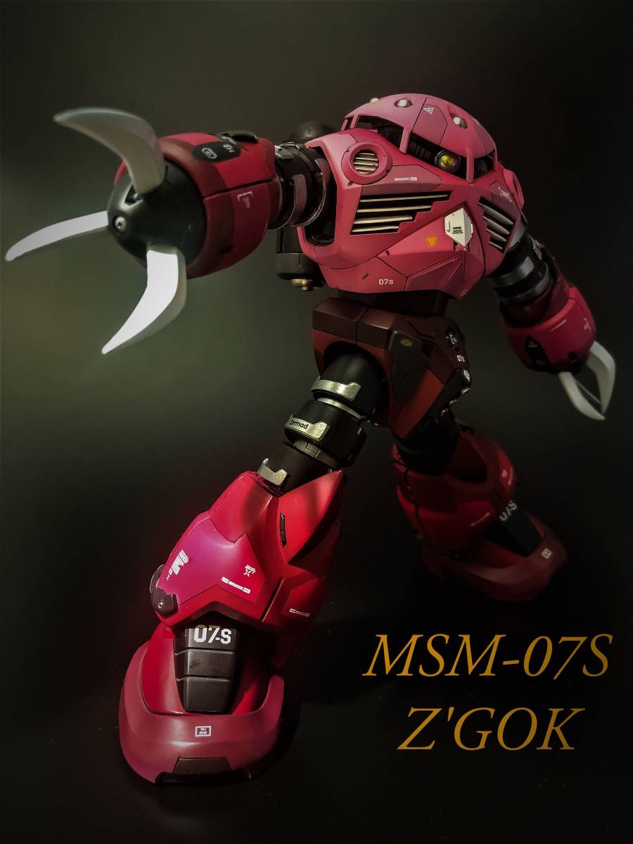 MG 1⁄100 MSM-07S シャア専用ズゴック ズゴック シャア専用 改修塗装
