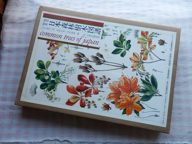 原色精密 日本森林樹木図譜 日本竹類図譜付 大型本 初版本 原色