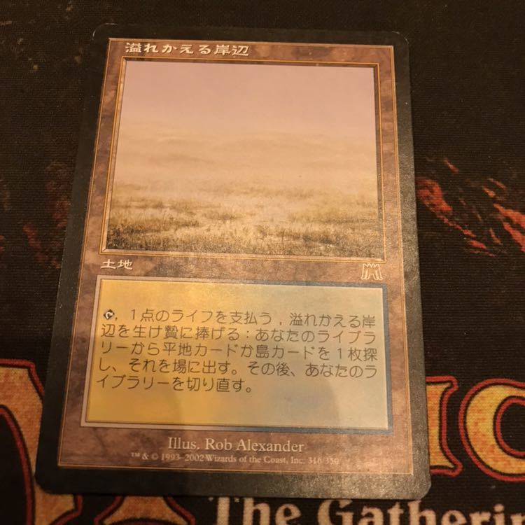 溢れかえる岸辺 Strand 溢れかえる岸辺⁄Flooded オンスロート MTG 英語