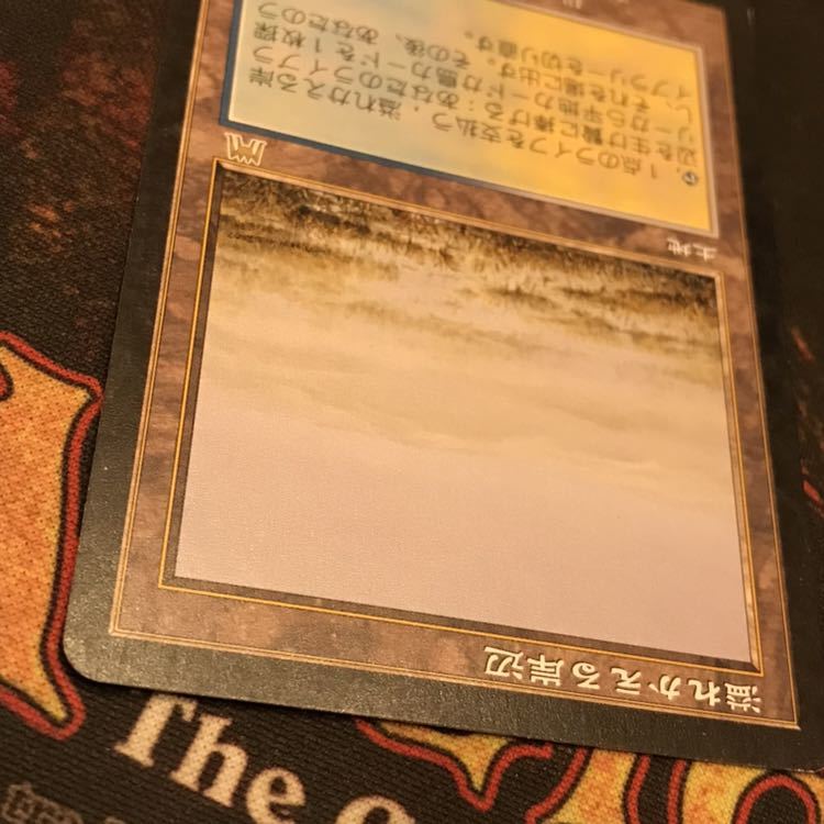 溢れかえる岸辺 Strand 溢れかえる岸辺⁄Flooded オンスロート MTG 英語
