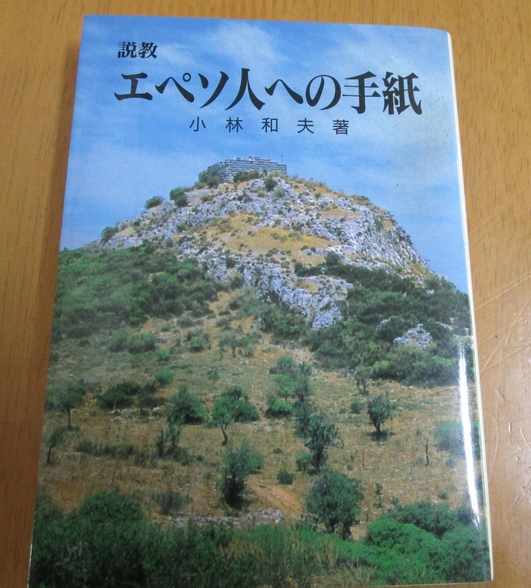 ZZ1 信徒のための聖書講解　新約　14冊　聖文舎 ZZ1 信徒のための聖書講解 新約 14冊 聖文舎 信徒のための聖書講解