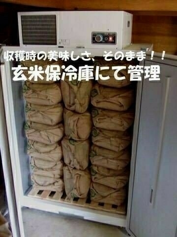 新米 25kg 平成30年 島根県出雲市産 コシヒカリ
