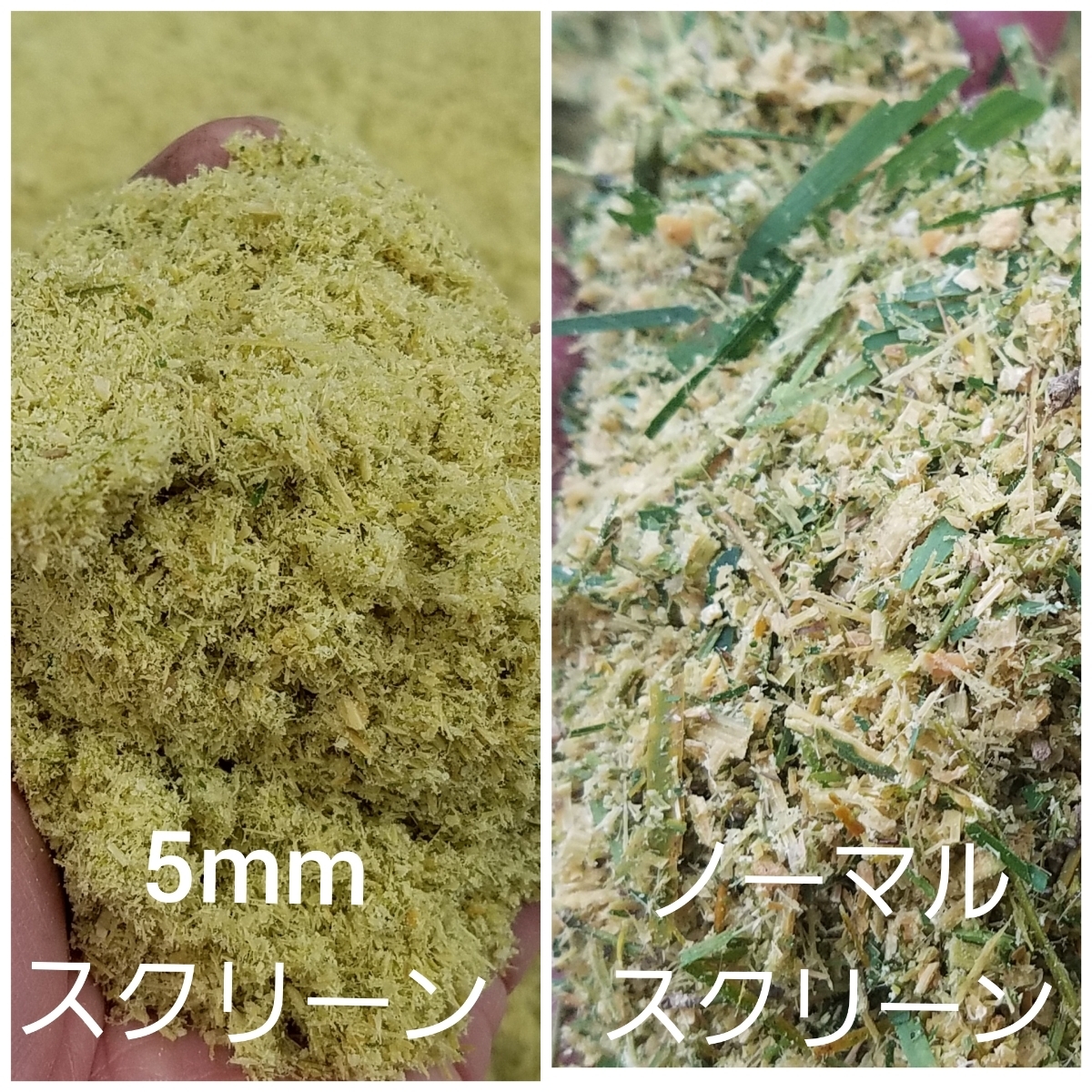 竹粉 竹 竹パウダー 竹チップ 乳酸発酵 土壌改善 除草 殺菌 粉砕(肥料、土)|売買されたオークション情報、yahooの商品情報をアーカイブ ...