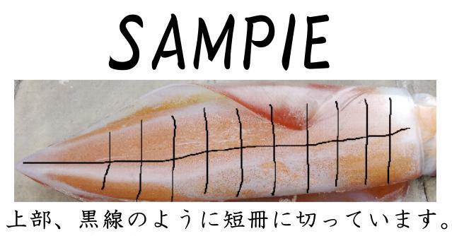 【長崎産19】タルイカ・ソデイカ（刺身・天ぷら用に）約1.5ｋｇ以上　冷凍