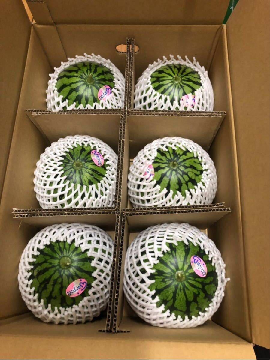 【超激得，定番人気】 熊本産 小玉すいか 秀品 S 6玉 6/2 1番(スイカ)｜売買されたオークション情報、yahooの商品情報をアーカイブ公開 - オークファン スイカ