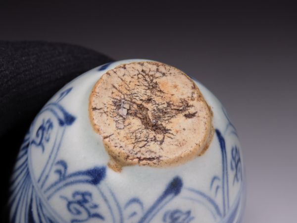 青花魚藻文壺 文化遺産オンライン 青花 古染付 明代 魚文小壺 木箱付