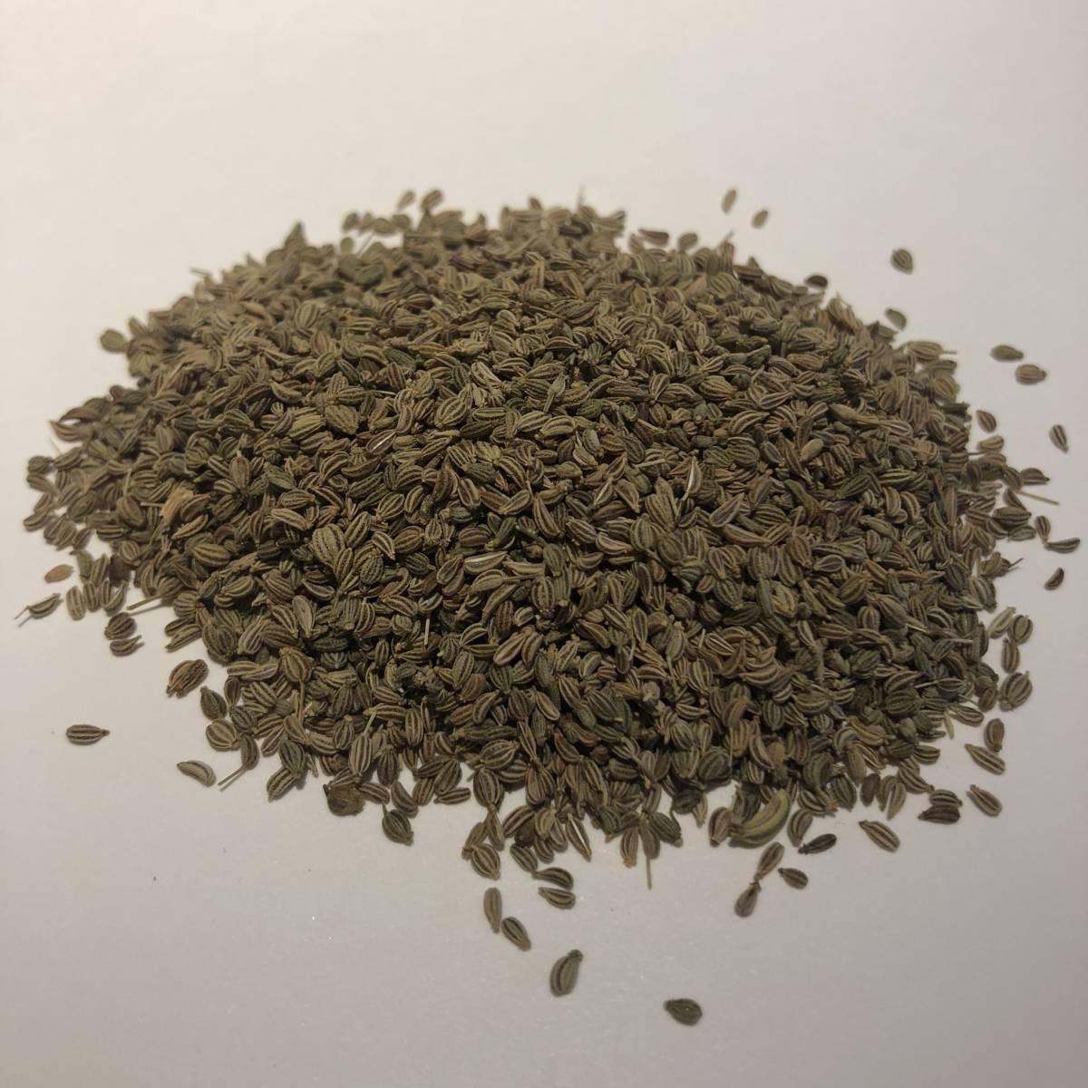 スパイス　香辛料　アジョワン ２．５ｋg インド産