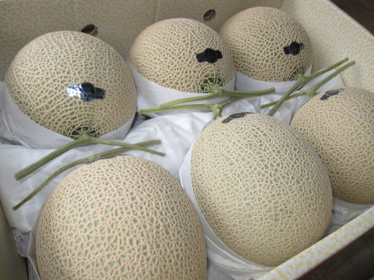 ★☆【実験店舗】静岡クラウンメロン”白”7.4ｋｇ訳あり751☆★