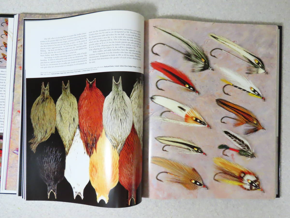 Whiting and Book Cock コック ヒーバート Variant Grizzry Neck Hebert Rare the Travels in The 安達恵利子(Web