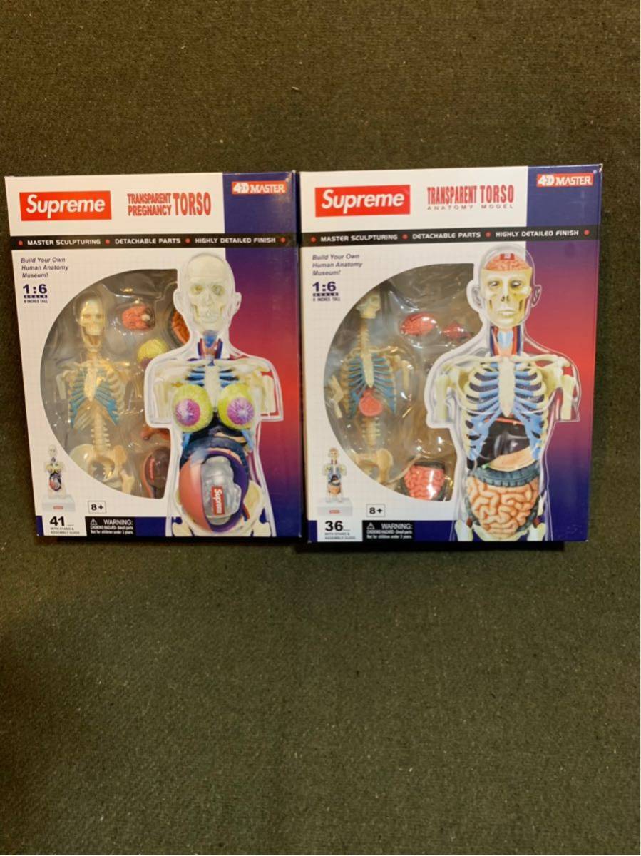 模型・プラモデル SUPREME 18AW Female Anatomy Model 人体模型