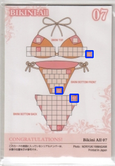 HIT'S/岡田紗佳2 トリプルレアビキニオールカード07 #02/02 (オレンジ