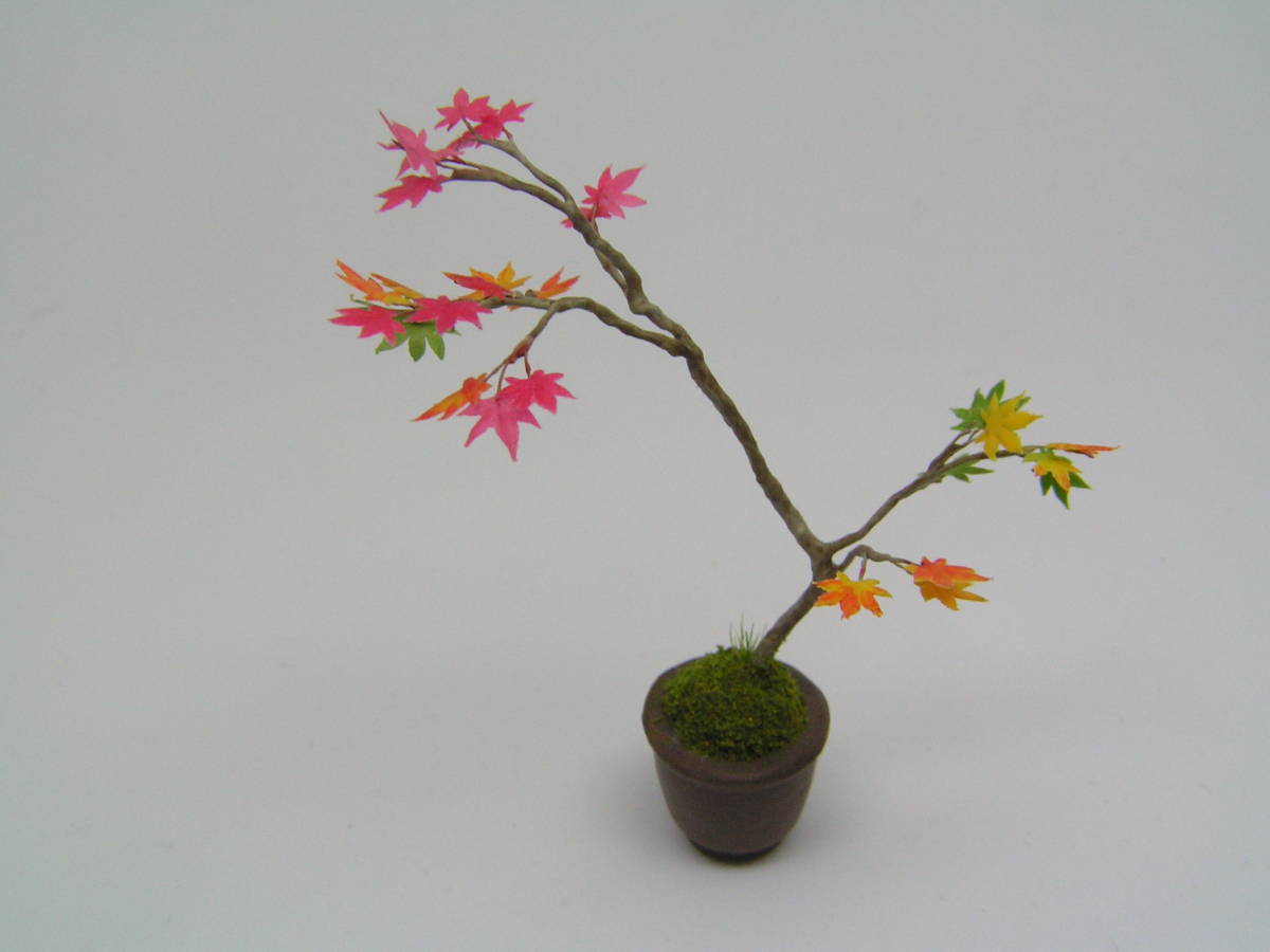 ミニチュア盆栽 もみじ-紅葉_2