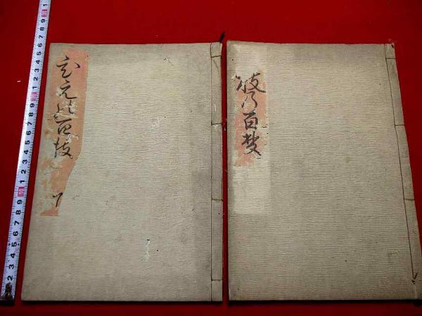 a652和本 日枝の百枝2冊揃 比叡山 和歌 古書古文書 Y252 絵入 華道
