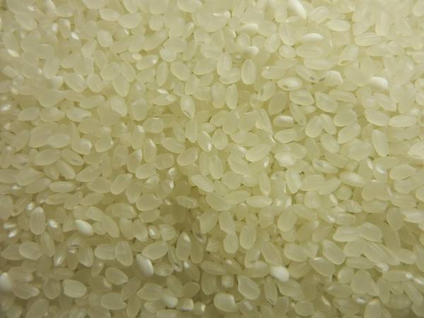 新潟産コシヒカリ 新潟産コシヒカリ 23Kg 平成30年産　送料無料 10Kgx2+3Kg　　e 3kgの通販