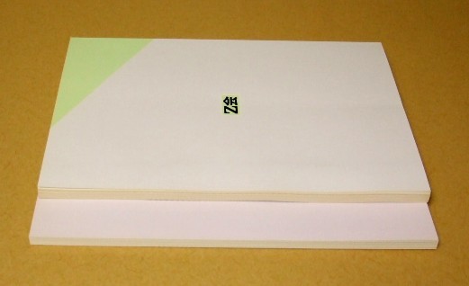 ☆即決☆【状態良好・未使用】Z会 物理の基礎解法 上・下 2冊セット