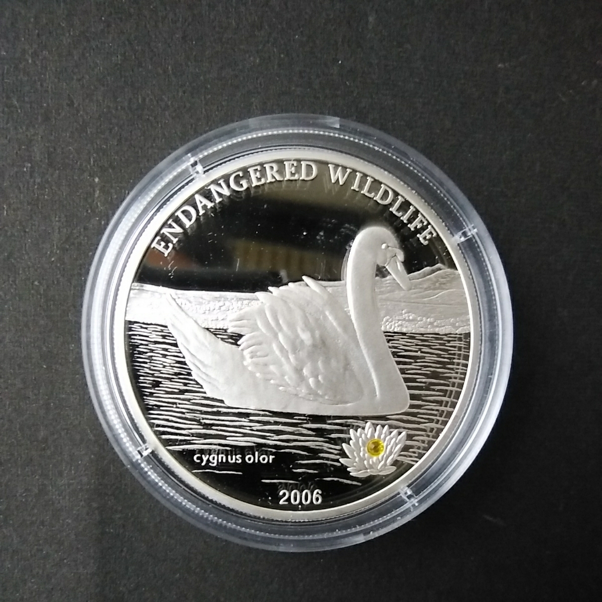 最安値，新品 中国コイン モンゴルコイン 500TOGRO銀貨(アジア)｜売買されたオークション情報、yahooの商品情報をアーカイブ公開 - オークファン アジア