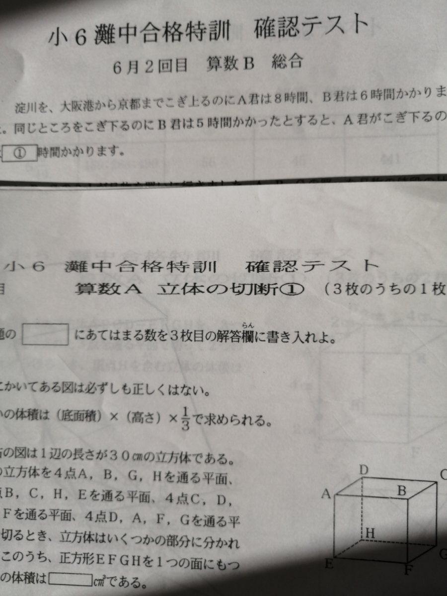 【灘シャーペン付】浜学園 小学6年生 灘中合格特訓 算数AB 確認テスト 参考書 【灘シャーペン付】浜学園 小学6年生 灘中合格特訓 算数AB