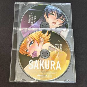 井河アサギのYahoo!オークション(旧ヤフオク!)の相場・価格を見る 