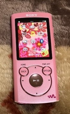 SONY ウォークマン ソニー 音楽 プレーヤー NW-S764