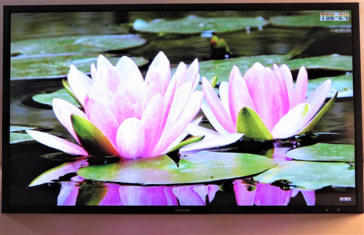 002) TOSHIBA モニタ TD-Z421 13年製 42型 ☆LED 液晶TV HDMI/USB/D 