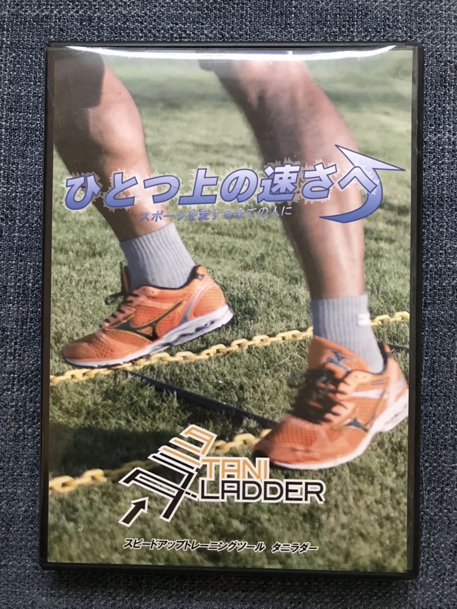 u334328333.1