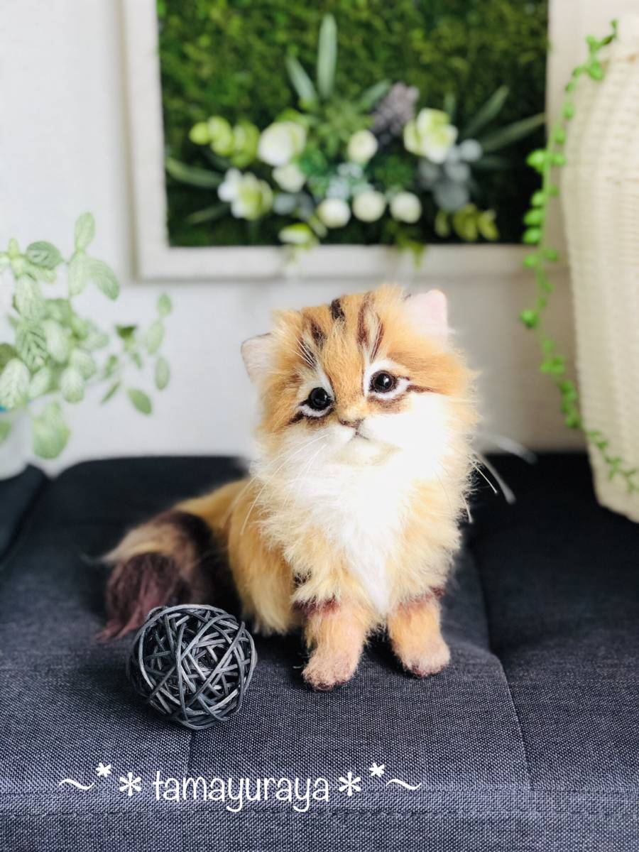 tamayuraya＊ 羊毛フェルト チンチラゴールド ラグドール ふわふわ子猫
