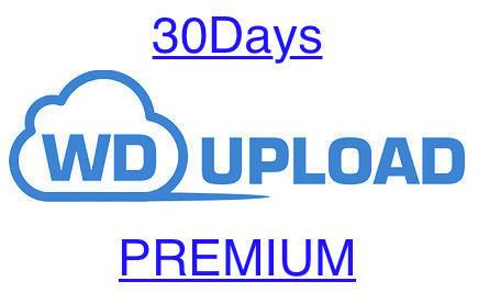  スピード対応 WDUPLOADプレミアム 30日間 5分 24時間以内対応 サポートします(その他)｜売買されたオークション情報、yahooの商品情報をアーカイブ公開 - オークファン その他