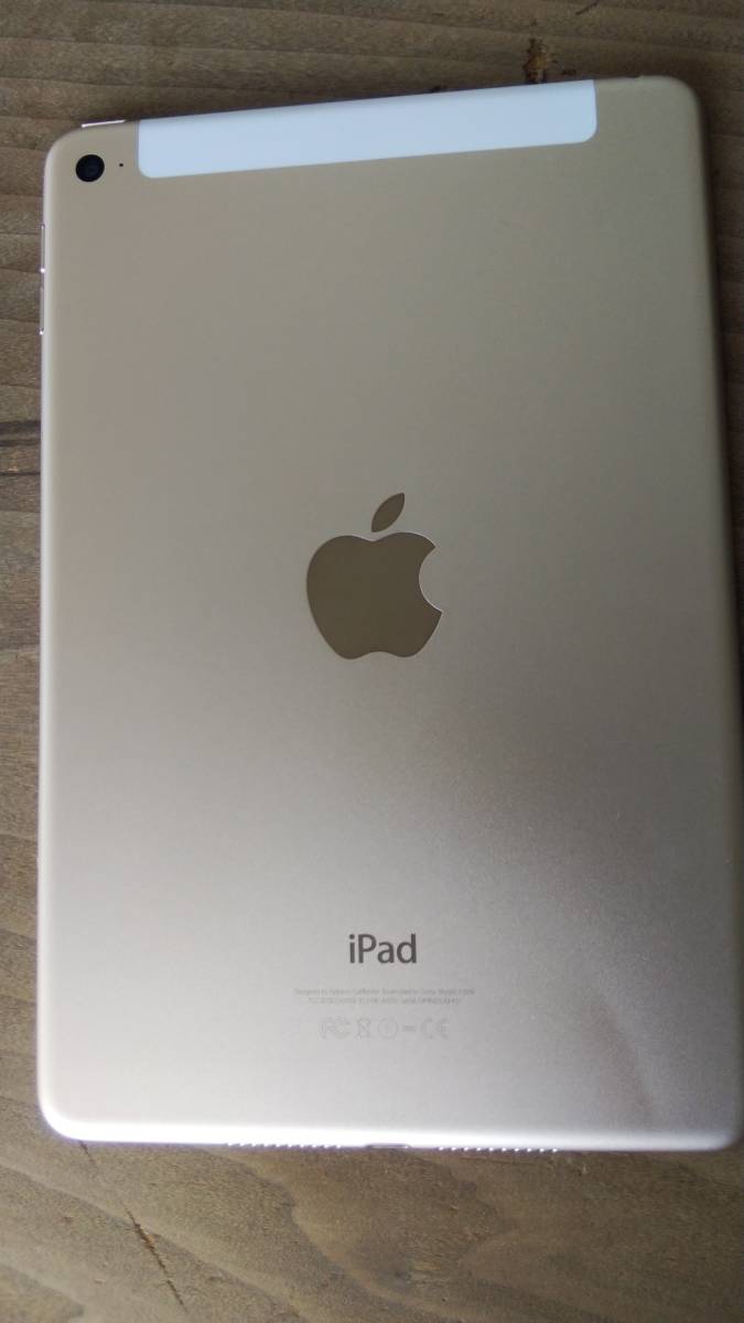 iPad mini4 SIMロック解除済み mini SoftBank 128GB 公式通販 0 mini4