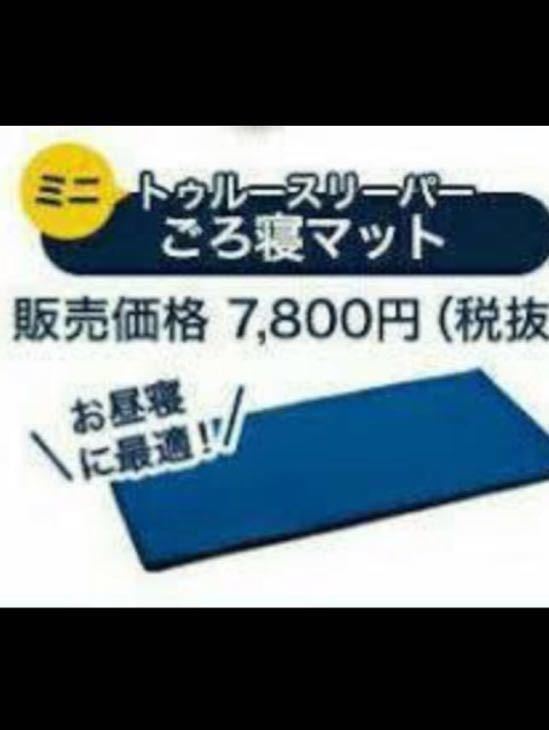 低価，本物保証 トゥルースリーパー ごろ寝マット ゴロ寝 低反発 ミニマット(その他)｜売買されたオークション情報、yahooの商品情報をアーカイブ公開 - オークファン その他