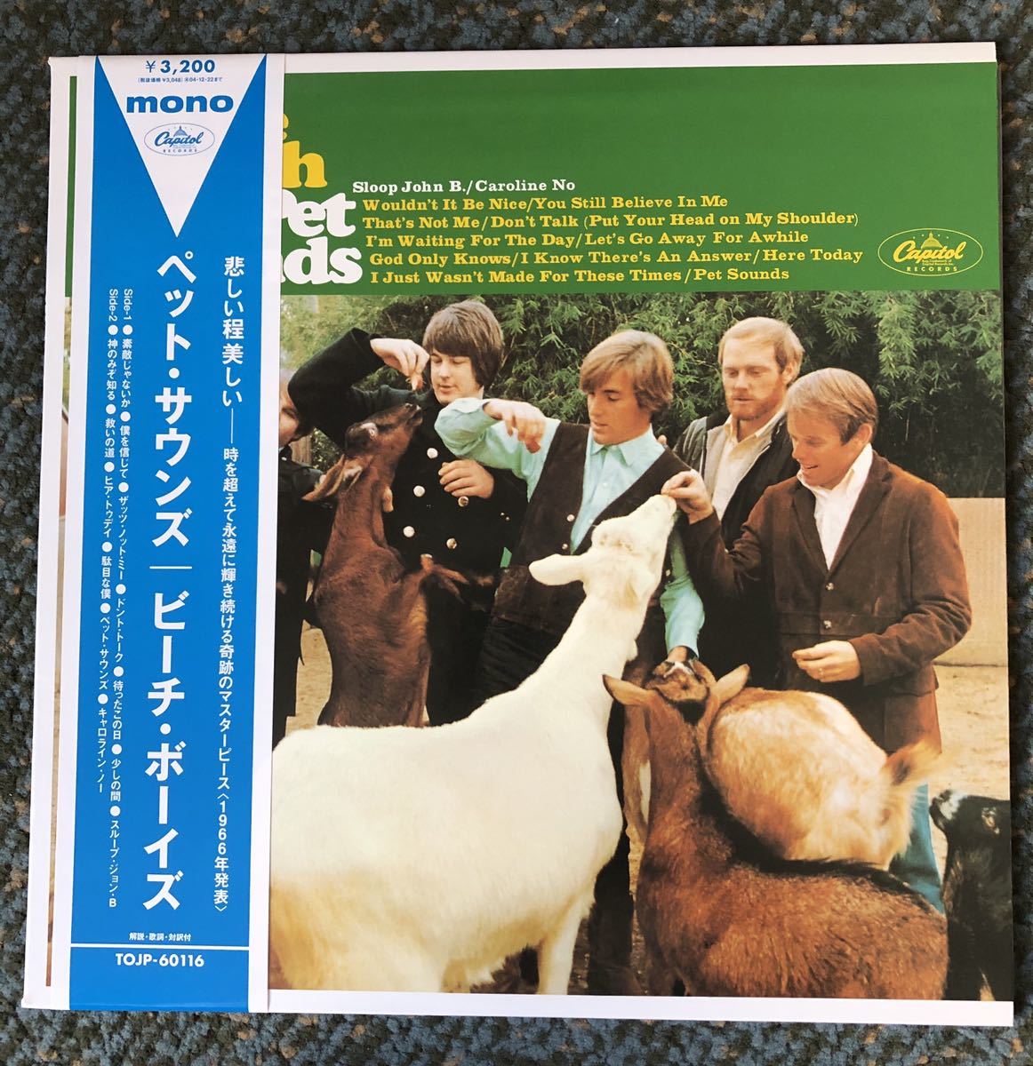Sounds ⁄ Beach Pet - The BEACH ビーチ・ボーイズ BOYS Sounds⁄ザ