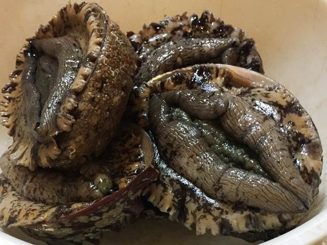 現役海士直送・三重県産 ・ 天然クロアワビ500g お庭でのバーベキューに 天然 国産 活 - 黒 (90