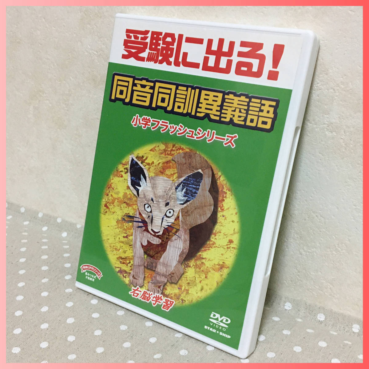 即決☆受験に出る☆DVD☆同音*同訓*異義語☆右脳*フラッシュ*学習*星 