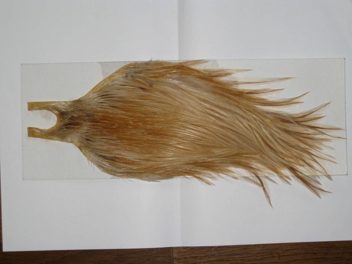 レア Whiting コックハックル ※ファーネス プログレード WHITING