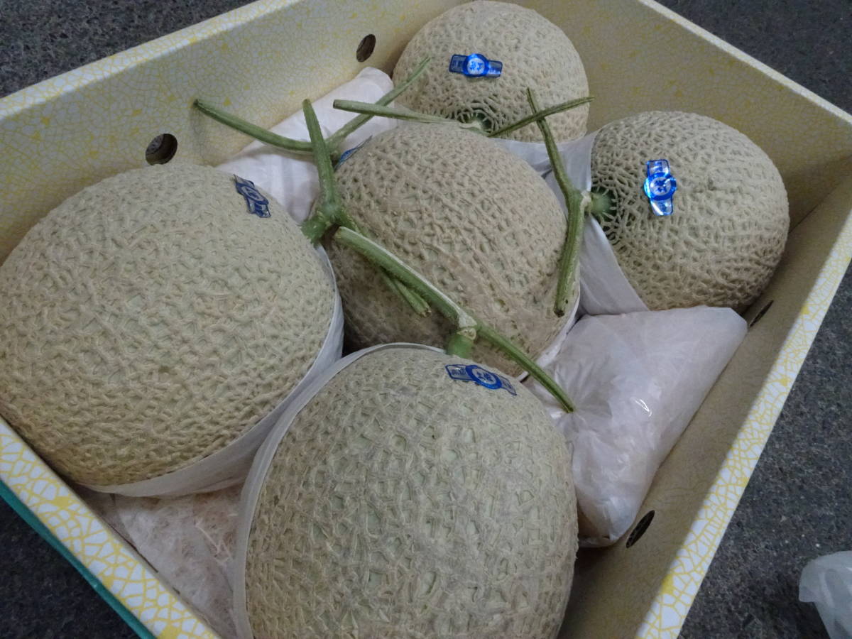 高知産　約９，0ｋｇ　　５玉　大玉マスクメロン　A品　　北海道沖縄発送不可 即日出荷可 メロン○マスクメロン○高知産○大玉5玉入り○9キロから
