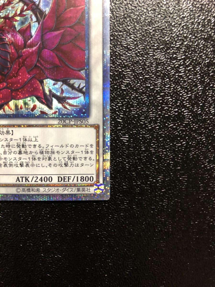 未使用】遊戯王 ブラック・ローズ・ドラゴン 20thシークレット