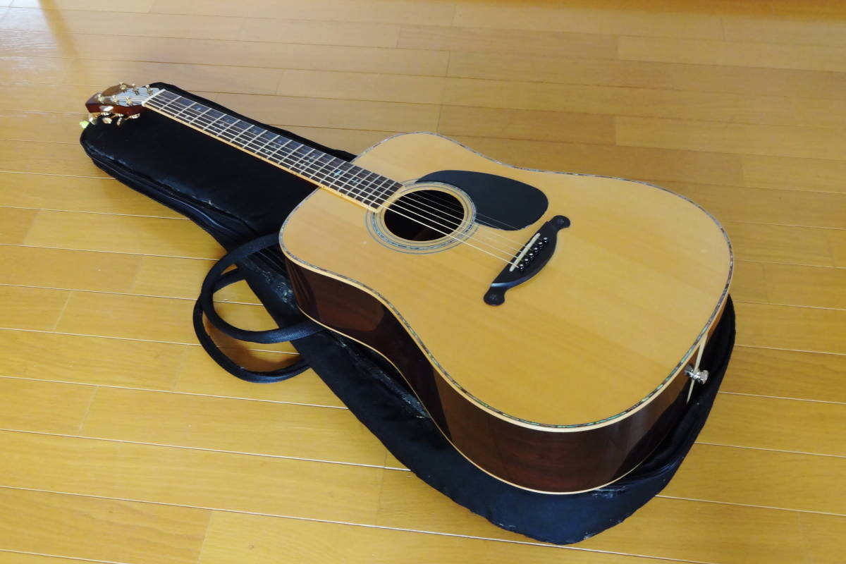 お値打ちオール単板 ☆ James ジェームズ（島村楽器オリジナル） JD900