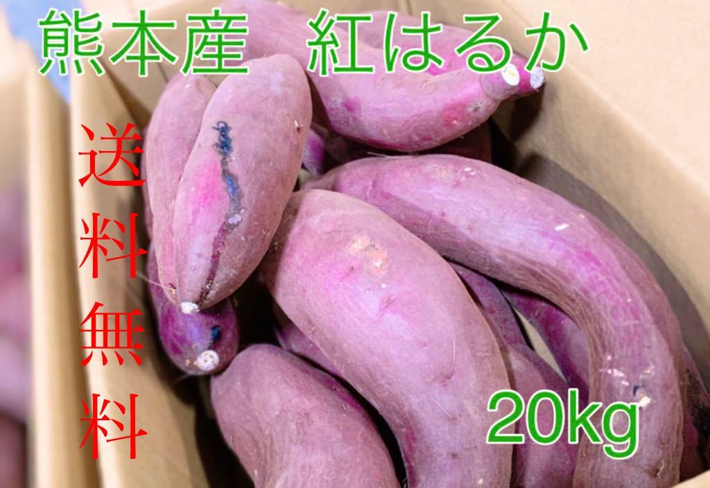 紅はるか 熊本県産 20kg さつまいも 公式通販 送料無料！ | 熊本の通販 1.5