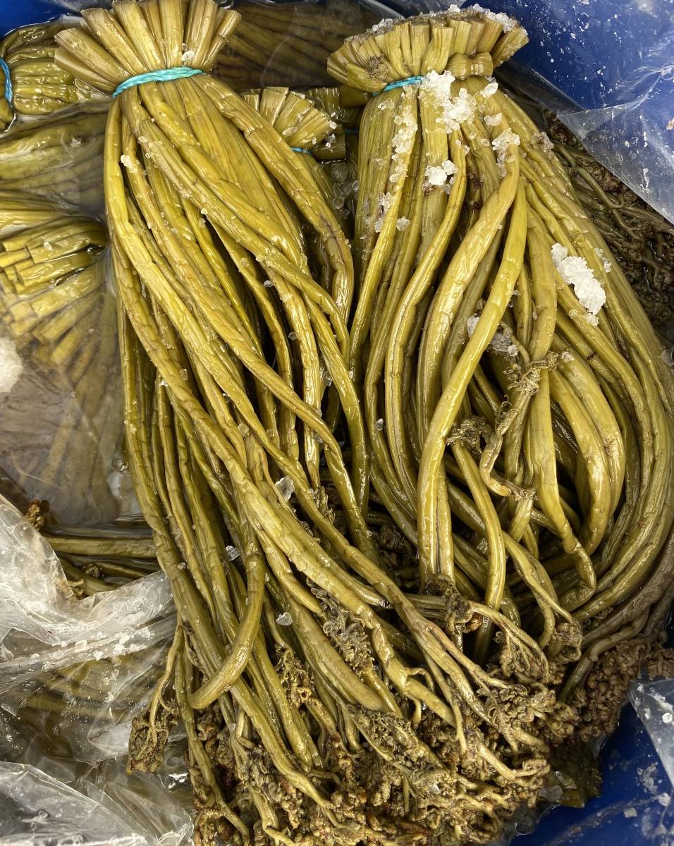 わらび塩漬5kg ながさ