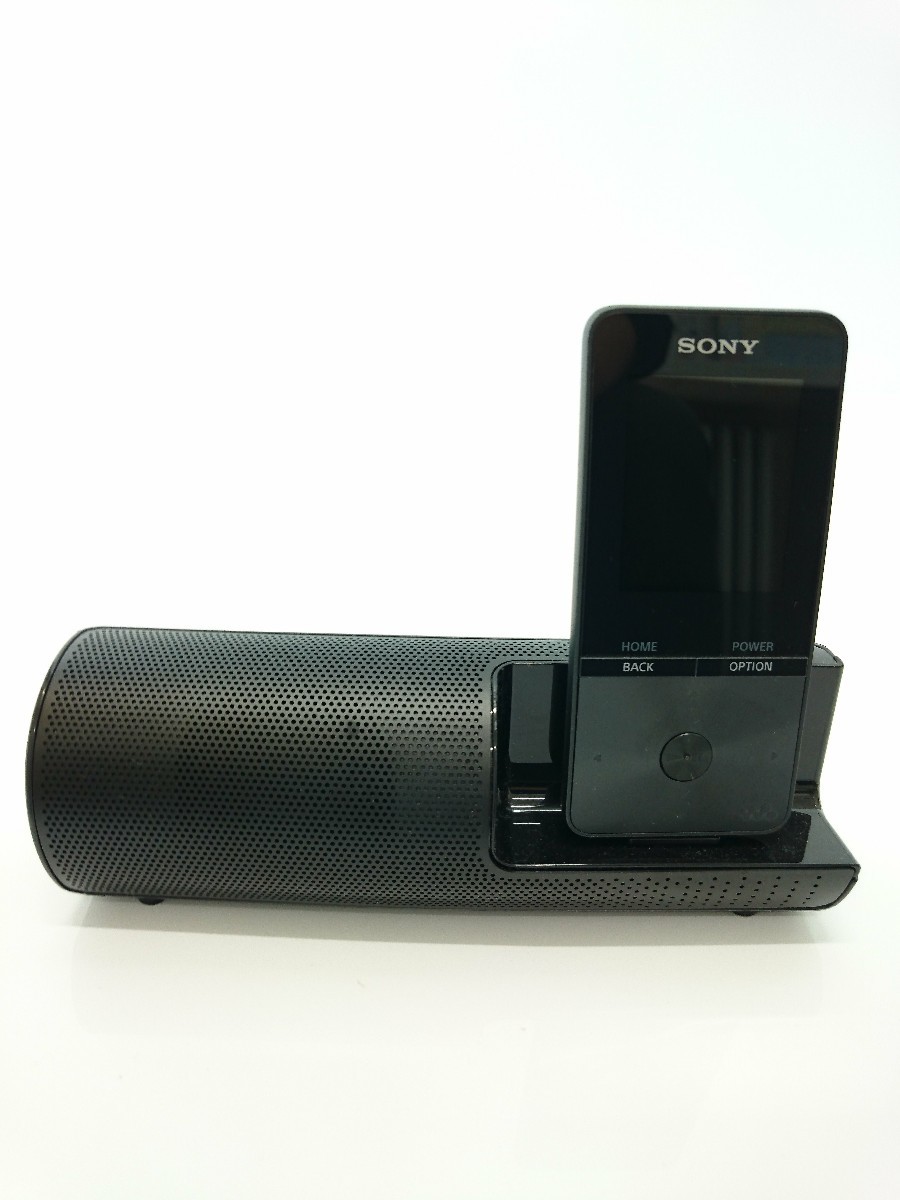 クーポン SONY◇デジタルオーディオプレーヤー(DAP) NW-S313K (B) [4GB