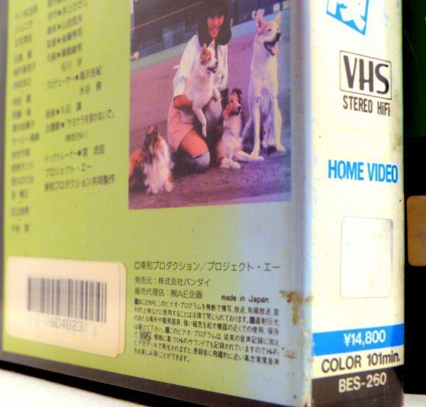 犬姫 風煉ダンス 渋さ知らズ VHS ビデオ テープ パイオニア