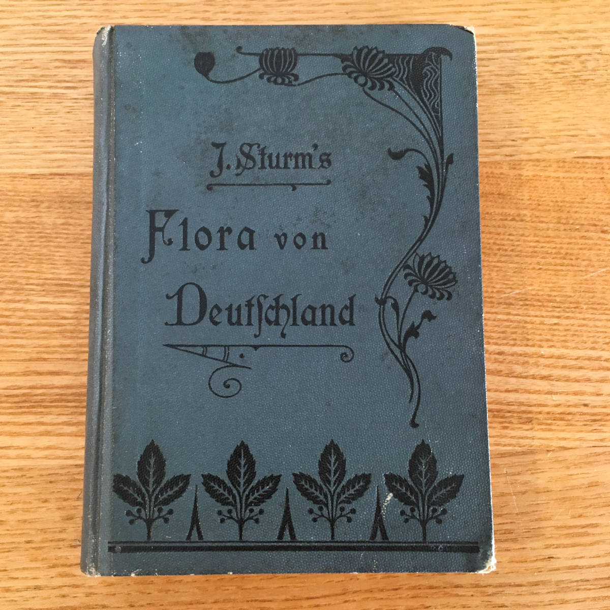 J.Sturm・ドイツの植物図鑑 VOl.6 1902年 ボタニカル ビンテージ