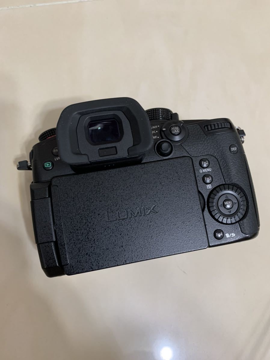 中古 美品 Panasonic LUMIX DC-GH5S ボディ 元箱付