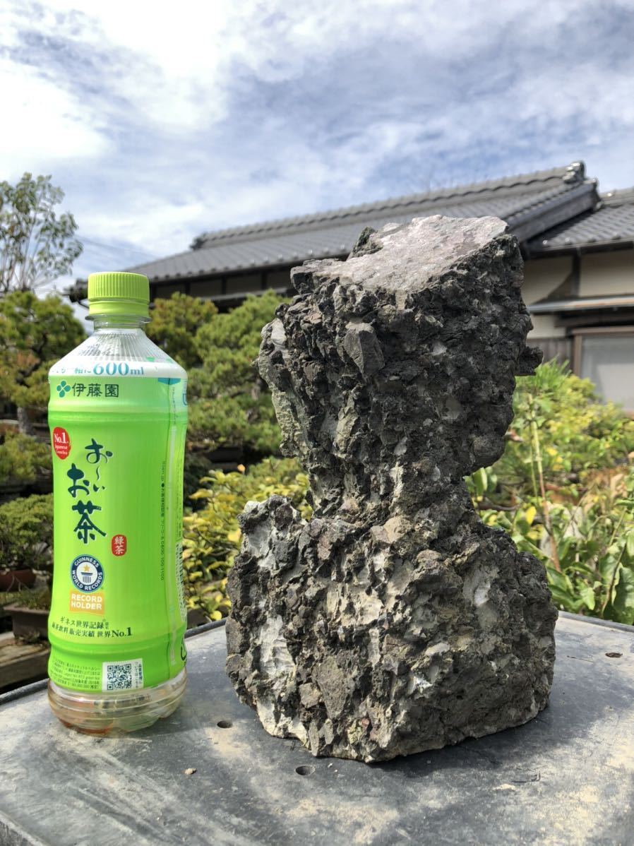 Yahoo!オークション 龍眼石 龍岩石 水石 竜眼石 揖斐川 竜岩石 揖斐川