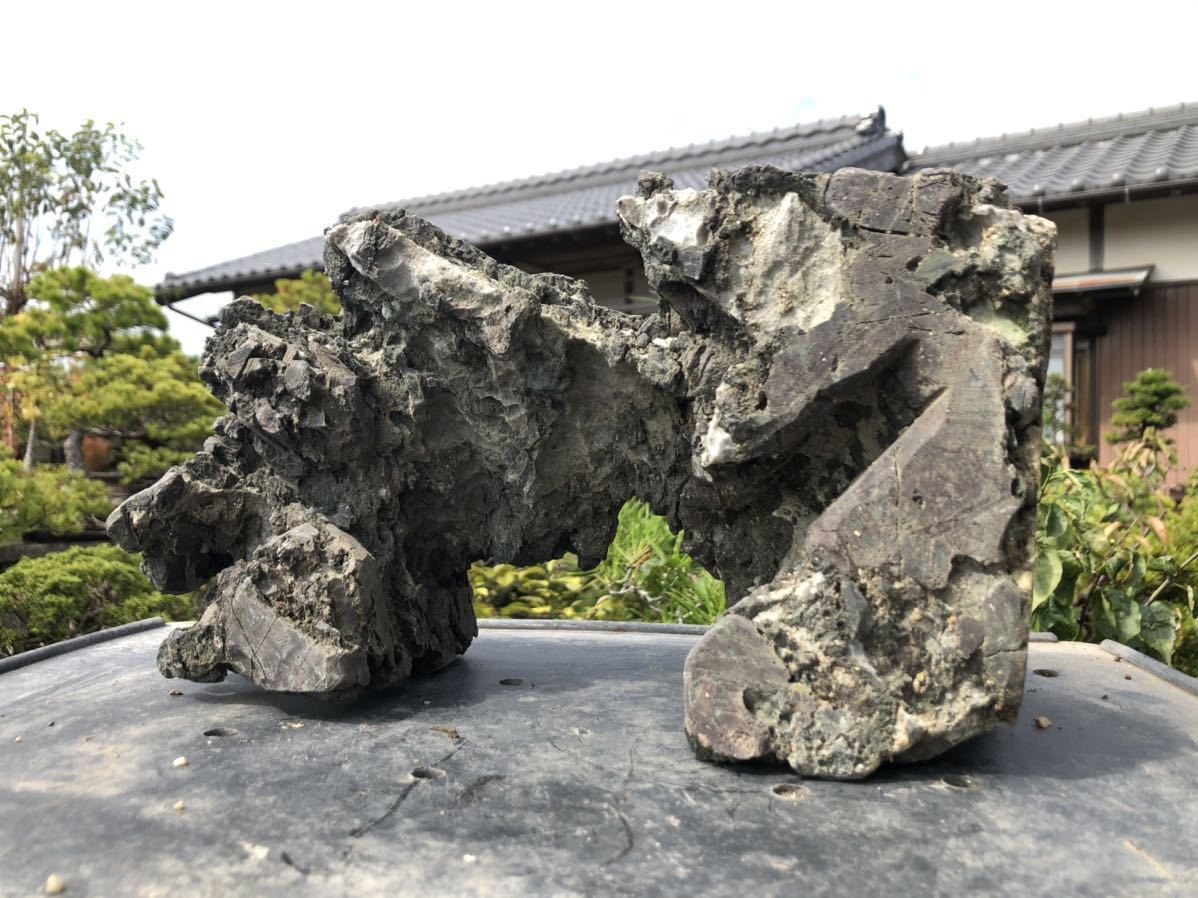 Yahoo!オークション 龍眼石 龍岩石 水石 竜眼石 揖斐川 竜岩石 揖斐川