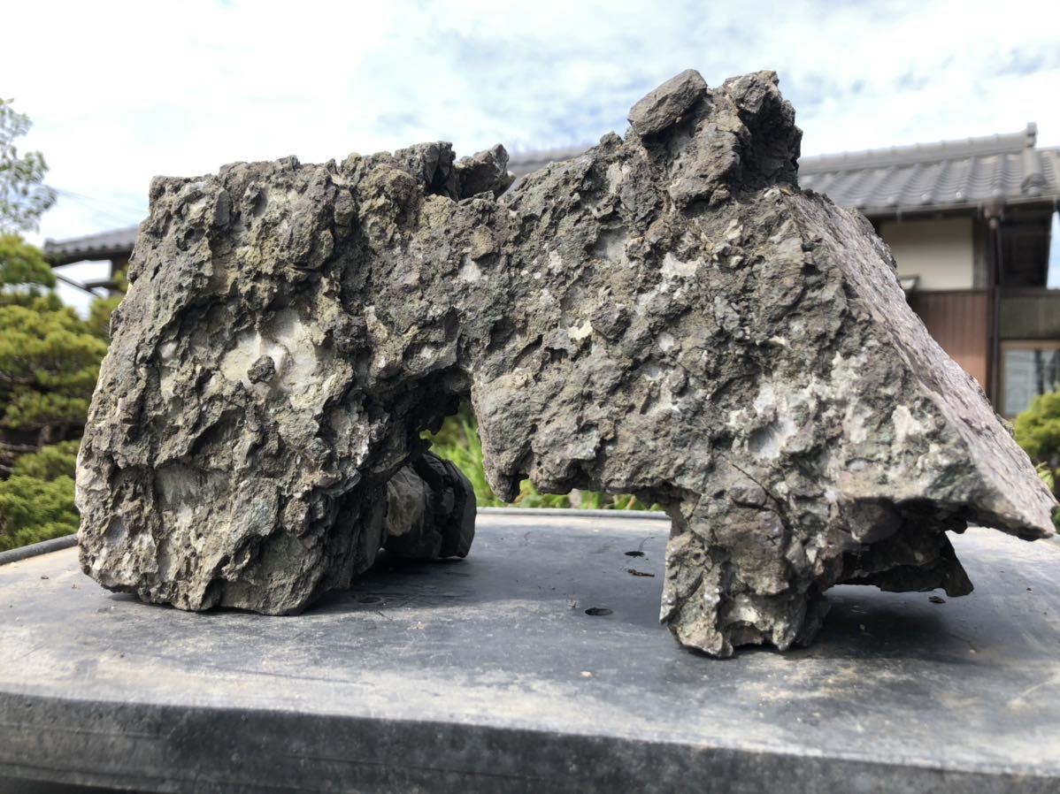 Yahoo!オークション 龍眼石 龍岩石 水石 竜眼石 揖斐川 竜岩石 揖斐川