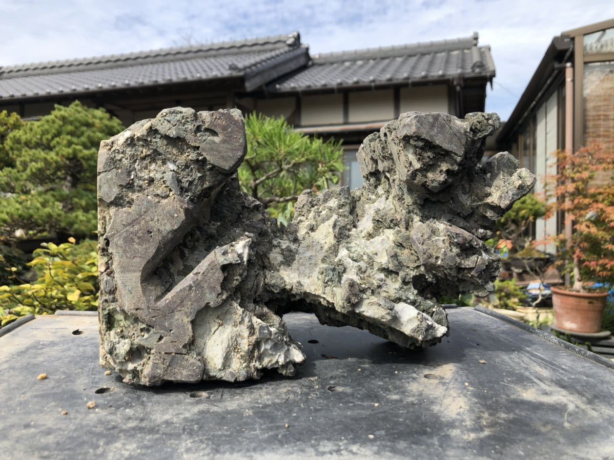 Yahoo!オークション 龍眼石 龍岩石 水石 竜眼石 揖斐川 竜岩石 揖斐川