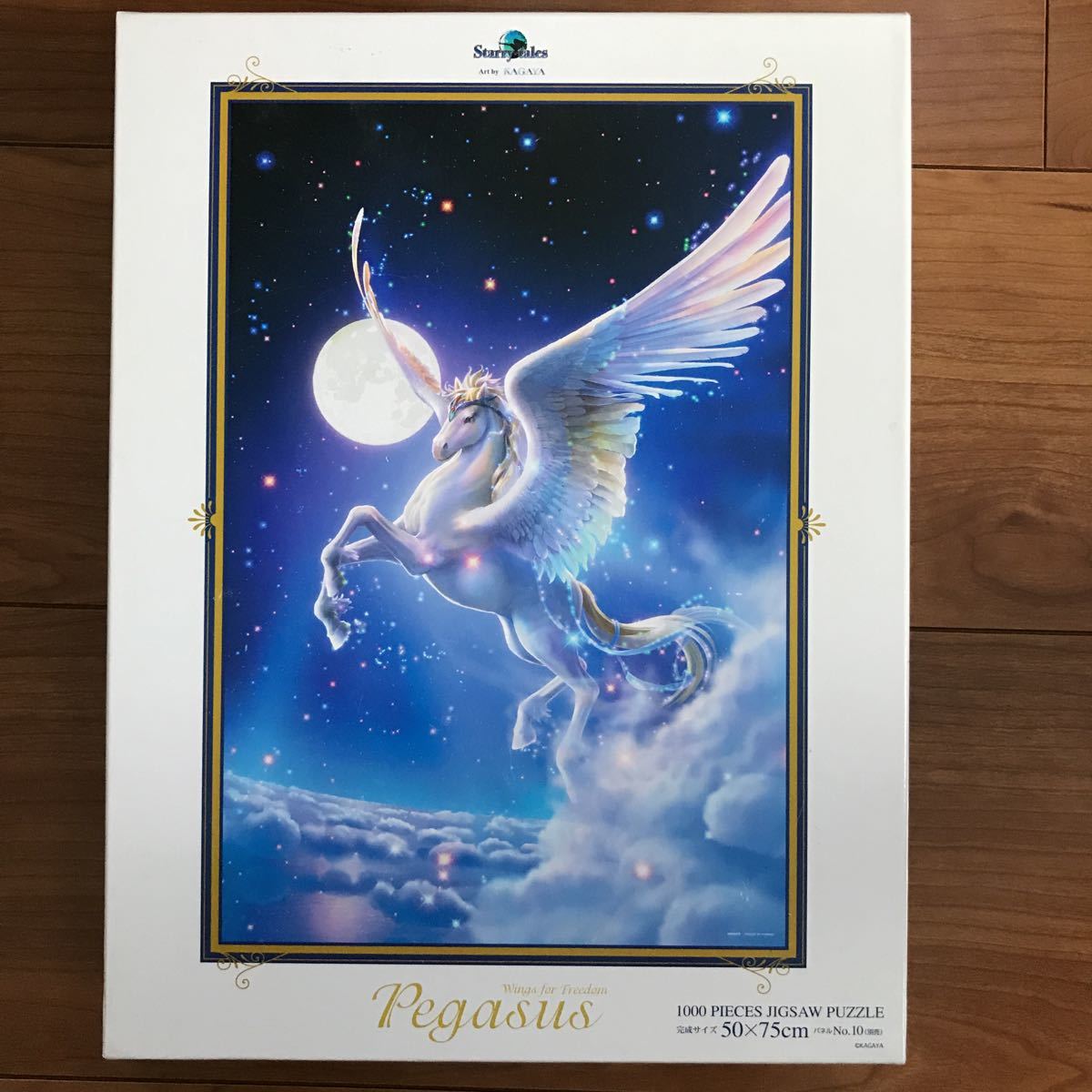 Moon Light ILLUSION SOLITUDE 1000ピース パズル | テンヨー