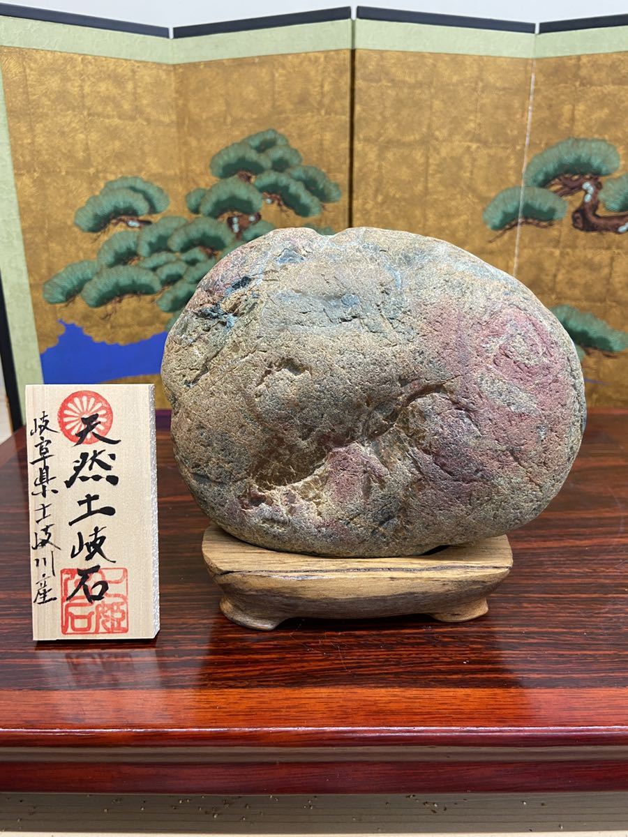 秋の感謝祭水石 盆栽 岐阜県産土岐石 ウブ 横18.5×高 - 土岐石 鑑賞石