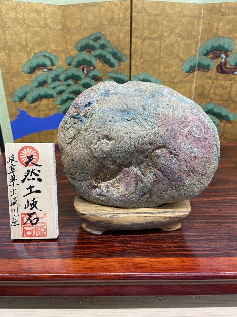 秋の感謝祭水石 盆栽 岐阜県産土岐石 ウブ 横18.5×高 - 土岐石 鑑賞石